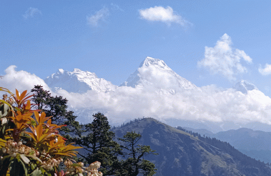 Mohare Danda Trek : Best short trek in Nepal ? - An ultimate guide
