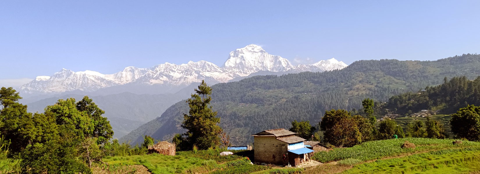 Mohare Danda Trek