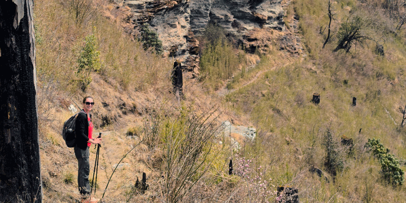 The trail in the Mohare Danda Trek