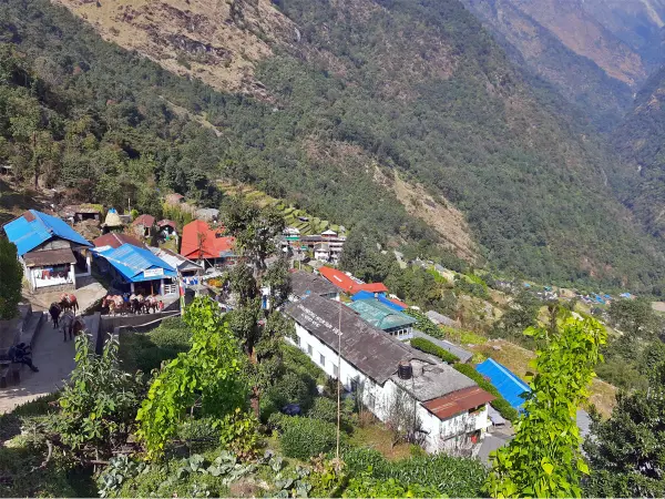 Chhomrong