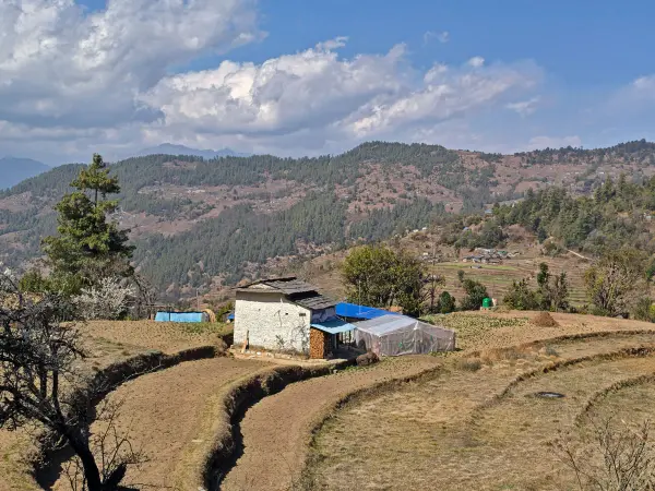 Nangi Village
