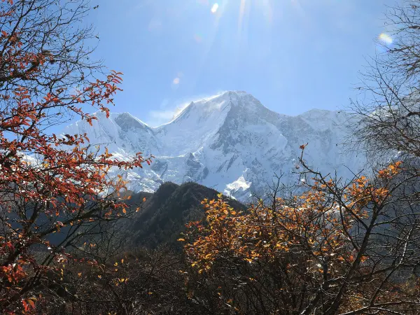 Northwest Face Of Manaslu