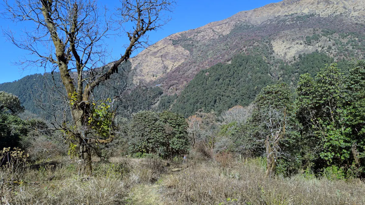 en route to sistibung