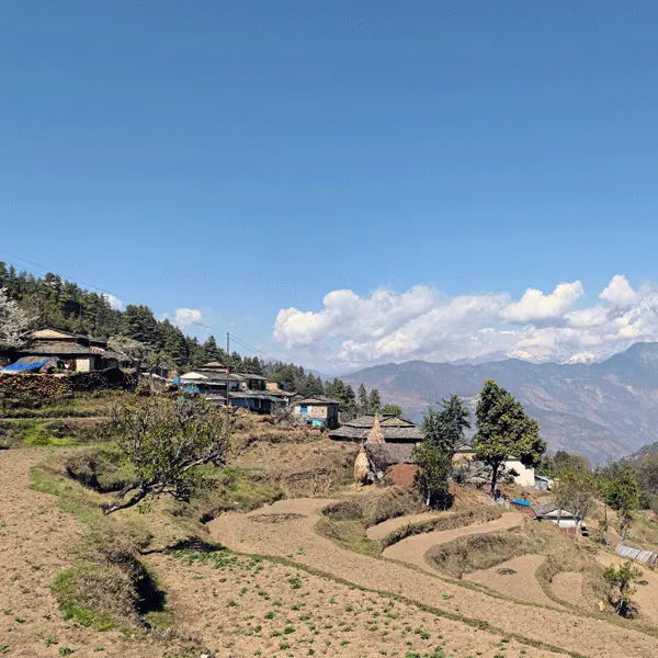 Mohare Danda Trek